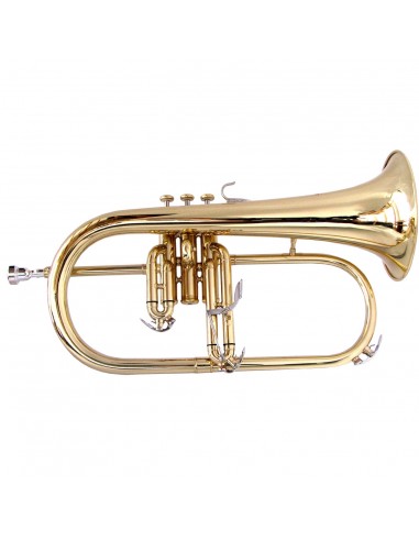 8000 Flicorno soprano sflh-10g sib gold soundsation
