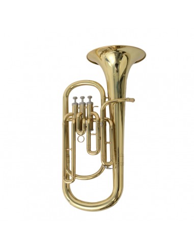 8000 Flicorno baritono sfb-10g in sib gold soundsation
