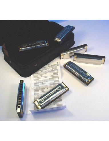 8000 Set 7 armoniche blues m91105 hohner con borsa