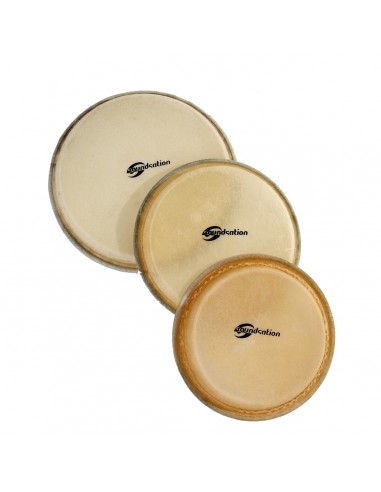 "8000 """"""pelle congas soundsation sch-10  10"""""""""""""""
