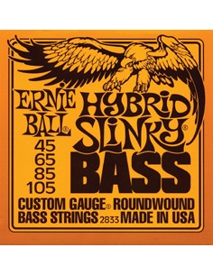 8000 Accessori per strumenti a cordaMuta ernie ball 2833