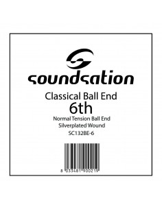 8000 Accessori per strumenti a cordaCorda soundsation sc132be-6