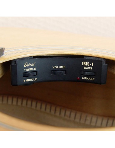 8000 Accessori per strumenti a cordaPreamp alla buca belcat iris-1