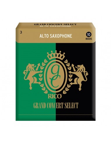 _ Strumenti a fiatoConf 10 ance rico grand concert rgc10asx300 sax alto 3.0