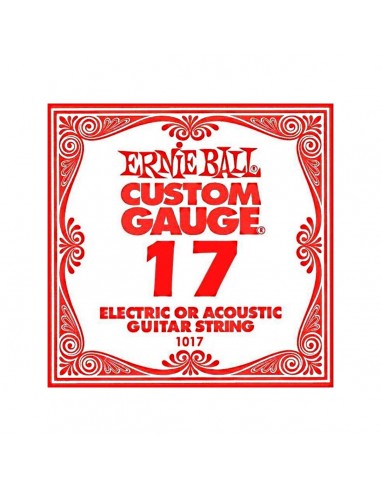 _ Accessori per strumenti a cordaCorda ernie ball 1017