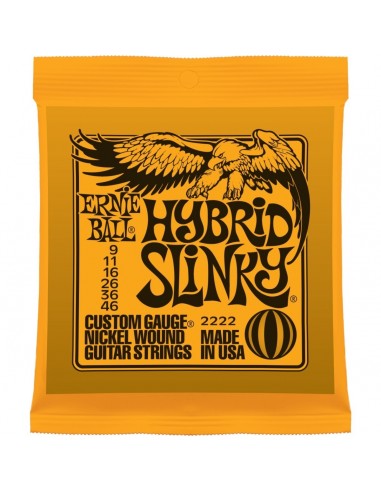 _ Accessori per strumenti a cordaMuta ernie ball 2222