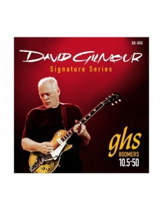 _ Accessori per strumenti a cordaMuta ghs david gilmour les paul gb-dgg