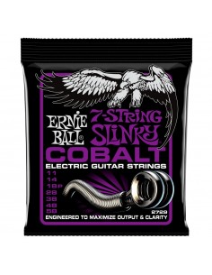 _ Accessori per strumenti a cordaMuta ernie ball cobalt 2729 011-058