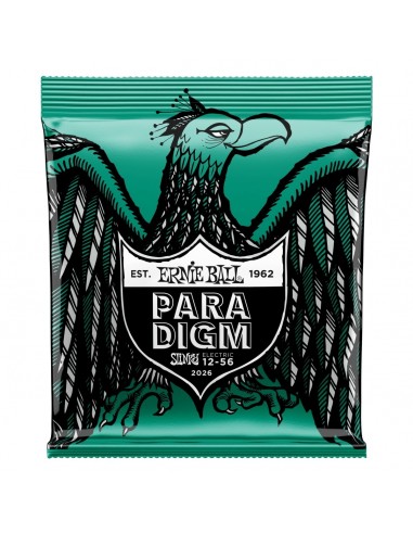 _ Accessori per strumenti a cordaMuta ernie ball 2026 paradigm not even slinky 12-56