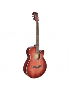 _ Strumenti a cordaChitarra acustica soundsation saguaro-hw-ce rd