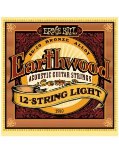 _ Accessori per strumenti a cordaMuta ernie ball 2010 - 12 corde