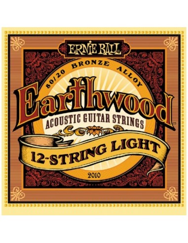 _ Accessori per strumenti a cordaMuta ernie ball 2010 - 12 corde