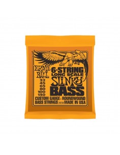 _ Accessori per strumenti a cordaMuta ernie ball 2838