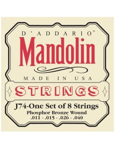 _ Accessori per strumenti a cordaMuta d'addario mandolino ej74
