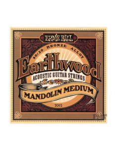 _ Accessori per strumenti a cordaMuta ernie ball 2065 earthwood