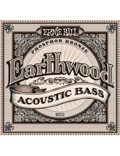 _ Accessori per strumenti a cordaMuta ernie ball 2070 earthwood basso
