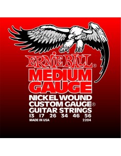 _ Accessori per strumenti a cordaMuta ernie ball 2204 per elettrica nickel wound