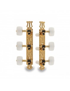 _ Accessori per strumenti a cordaMeccanica gotoh 40g2000 ew gg