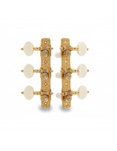 _ Accessori per strumenti a cordaMeccanica gotoh 35g510p p gg