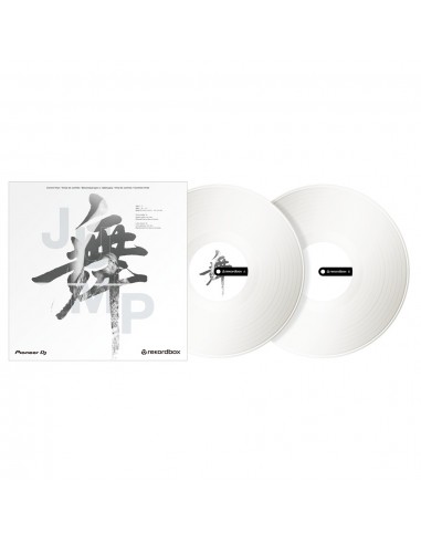 _ GiradischiPioneer control vinyl rb-vd2-wh (coppia)