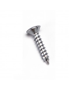 _ Accessori per strumenti a cordaConfezione 50 viti cromate 4x20 per ponte tele t40c/t20c