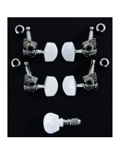 _ Accessori per strumenti a cordaMeccanica banjo soundsation jbj900  (set)