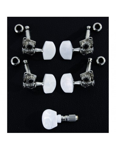 _ Accessori per strumenti a cordaMeccanica banjo soundsation jbj900  (set)