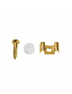 _ Accessori per strumenti a cordaBusta 2 viti passacorde sh2g dorate