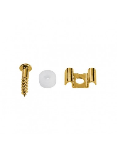 _ Accessori per strumenti a cordaBusta 2 viti passacorde sh2g dorate