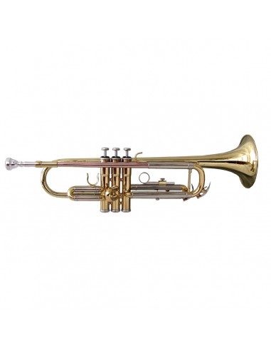 _ Strumenti a fiatoTromba soundsation stpgd-10 gold