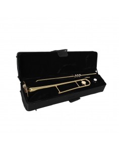_ CustodieAstuccio  c-stb10 per trombone
