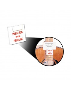 _ Supporti per sturmenti musicaliStringswing guitar protection clip gpc