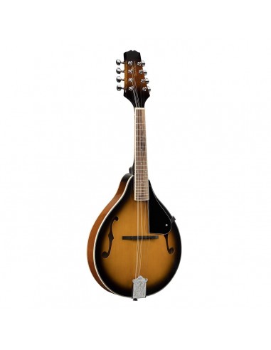 _ Strumenti a cordaMandolino soundsation  bluegrass bma-60 vs sunburst