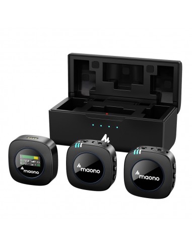 8000 MicrofoniSistema a doppio microfono wireless maono au-wm821