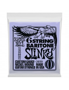 8000 Accessori per strumenti a cordaMuta ernie ball 2839