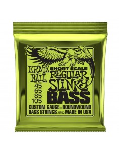 8000 Accessori per strumenti a cordaMuta ernie ball 2852