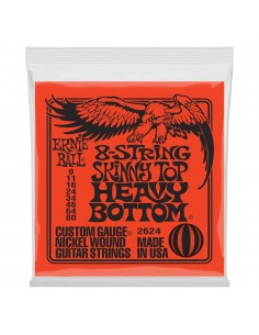 8000 Accessori per strumenti a cordaMuta corde ernie ball 2624