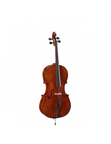 Strumenti ad arcoCello soundsation  virtuoso pro sv vpce-sv12