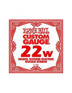 8000 Accessori per strumenti a cordaCorda ernie ball 1122