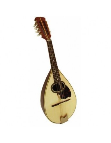8000 Mandolino romano
