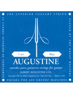 8000 Muta augustine blue