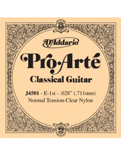 8000 Corda d'addario j4501
