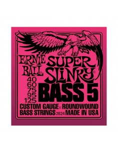 8000 Muta ernie ball 2824 super slinky 5 basso